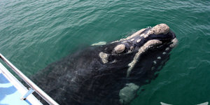 So close you could touch... But you can't!!